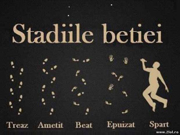 Stadiile beției poze haioase