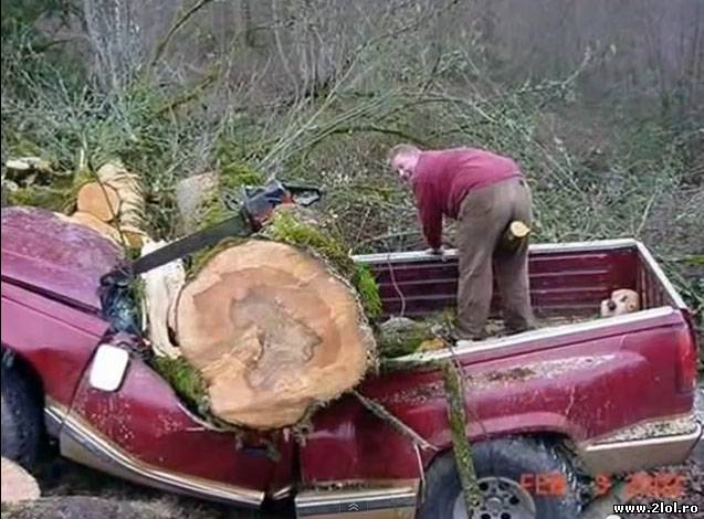 Când măsori o dată și tai de mai multe ori poze haioase