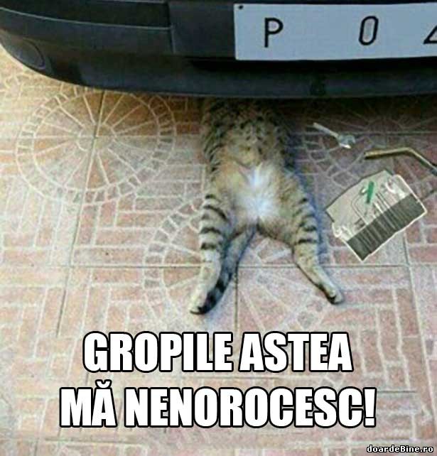 Problema șoferului român poze haioase