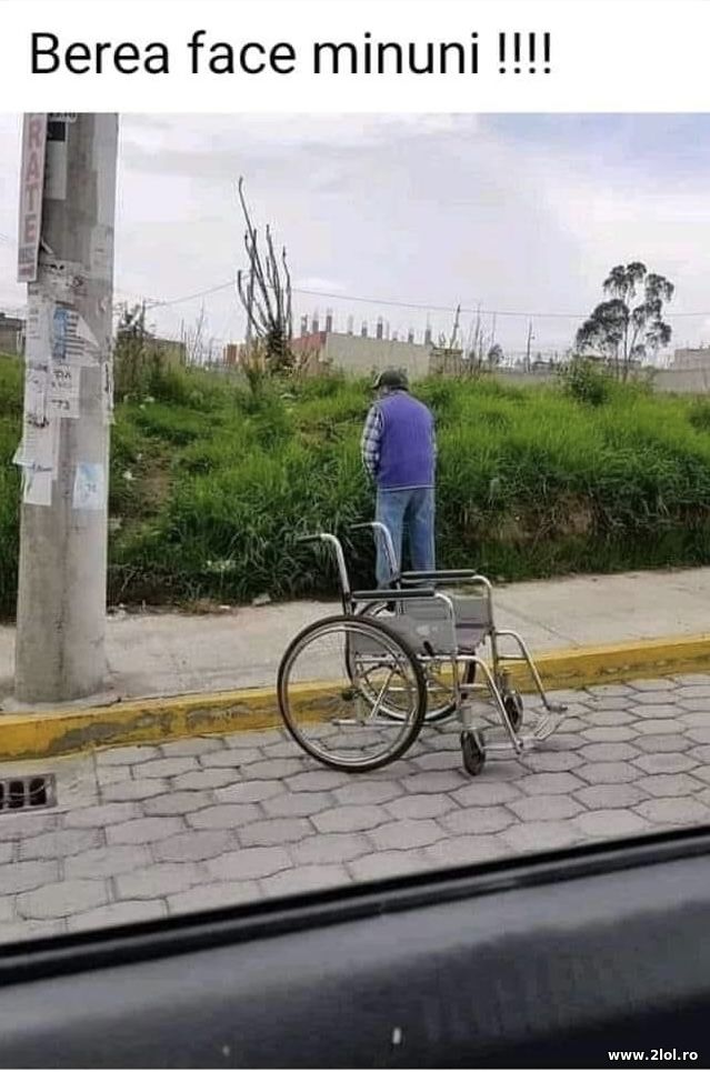 Berea face minuni poze haioase
