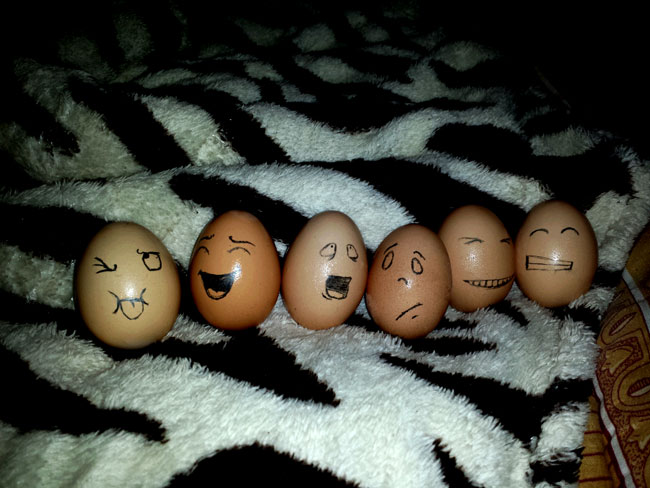 Eu, Elvira, Ghena, Silvica, Alina..etc poze haioase