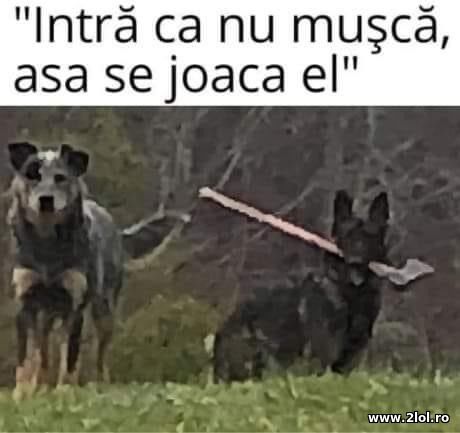 Asa se joaca el poze haioase