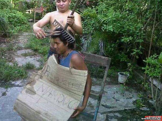 Tunsoare, in timpul carantinei. COVID-19 poze haioase