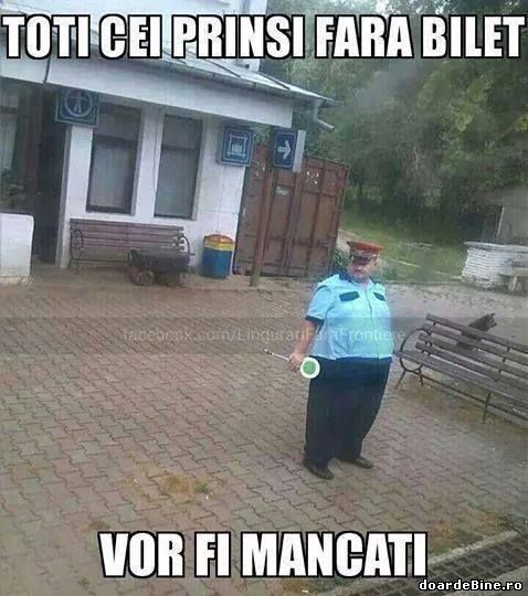 Un motiv bun ca să îți cumperi bilet poze haioase