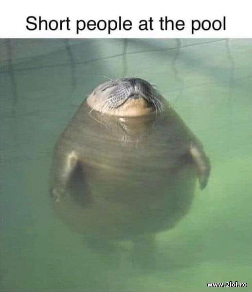Short people at the pool poze haioase
