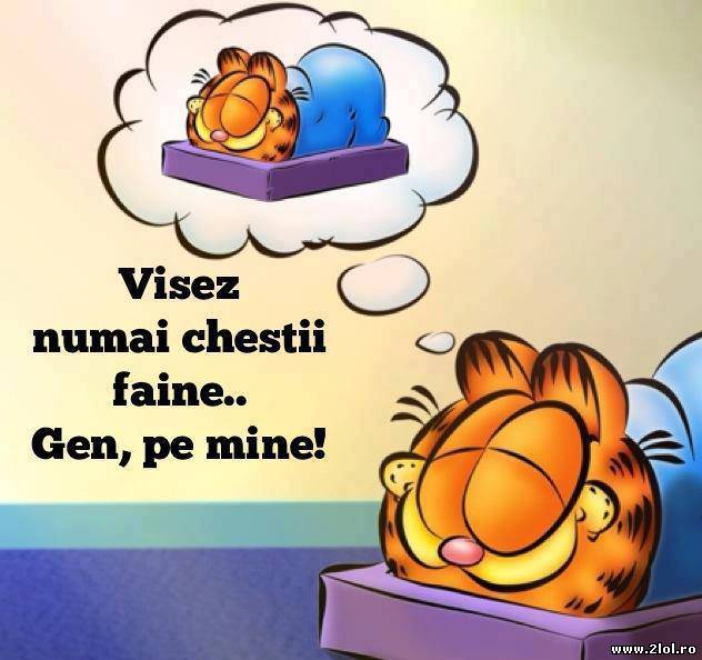 Visez numai chestii faine poze haioase