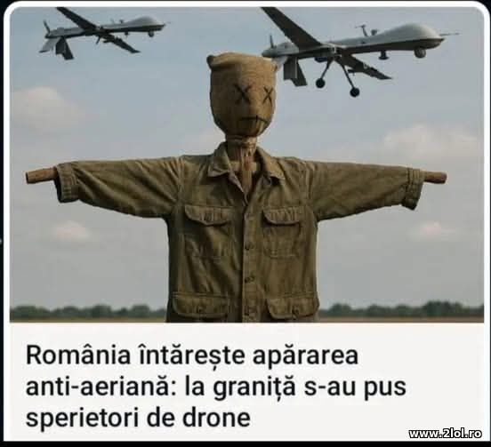 Apararea anti-aeriana poze haioase