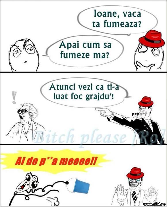 Ioane, vaca ta fumează? poze haioase