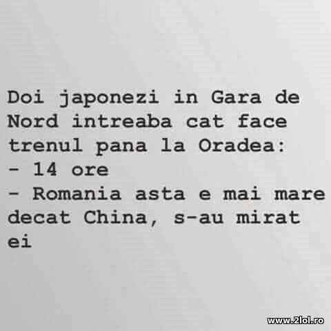 Japonezi poze haioase