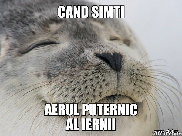 Cand simti aerul puternic  al Iernii poze haioase