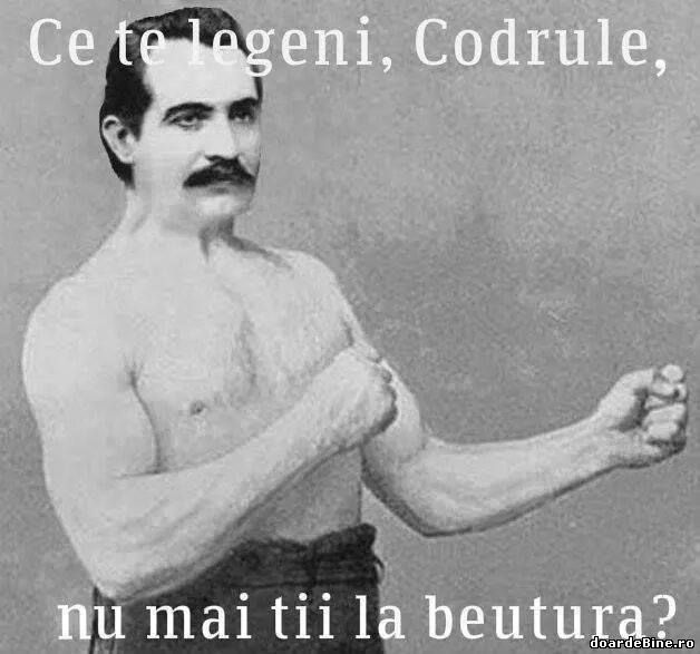 De ce se leagănă codrul poze haioase