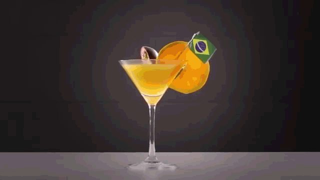 Brazilia - Germania 1-7 - Rezumat poze haioase