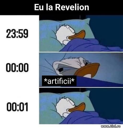 Eu de Revelion poze haioase