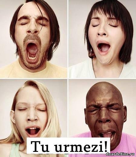 Probabil vei căsca poze haioase