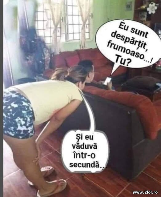 Sunt despartit poze haioase