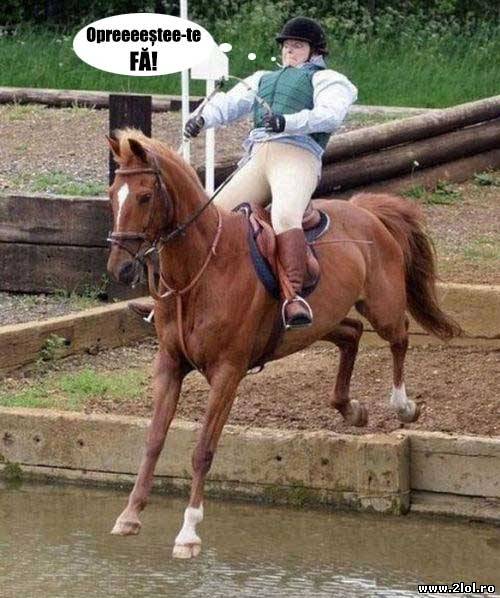 Când uiți că mai trebuie să și frânezi poze haioase