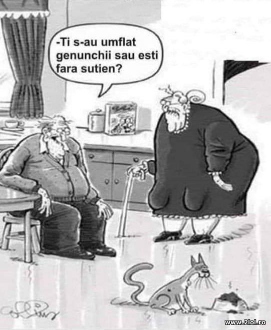 Ti s-au umflat genunchii poze haioase