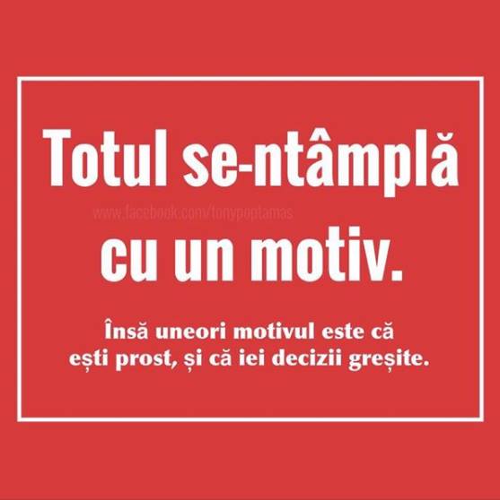 Totul se întâmplă cu un motiv poze haioase