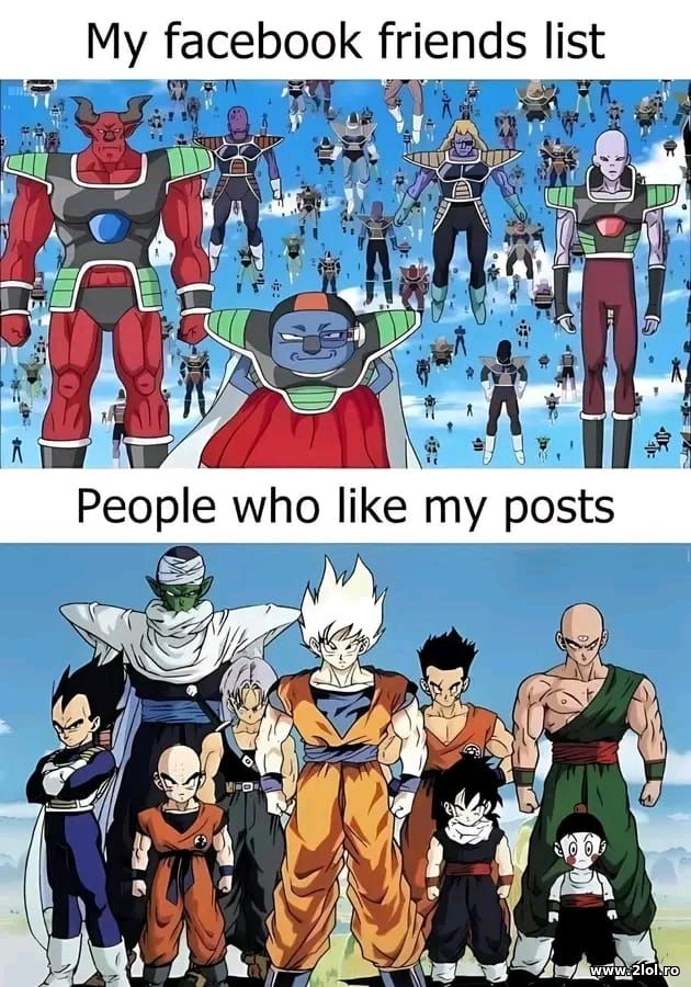 My Facebook friends list and people who like my poze haioase