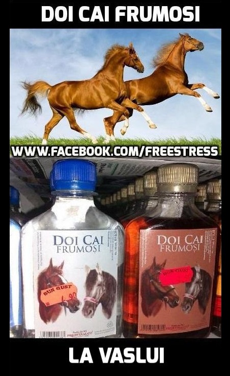 doi cai frumosi poze haioase