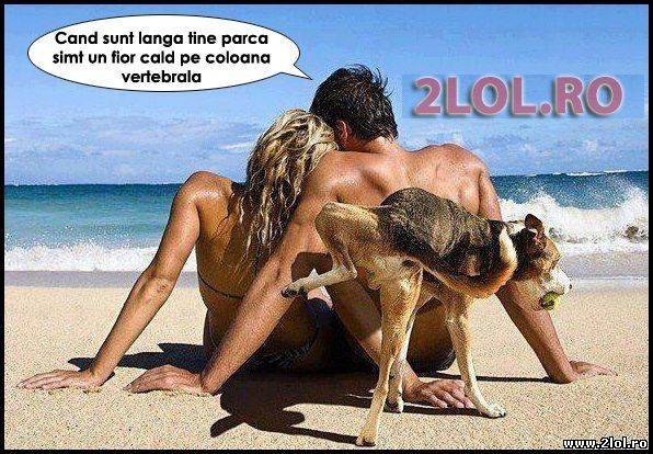 Cand sunt langa tine poze haioase