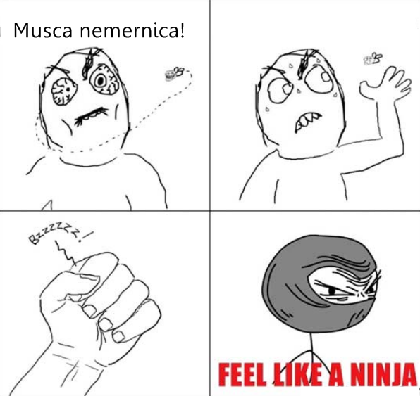 Momentul acela când prinzi o musca poze haioase