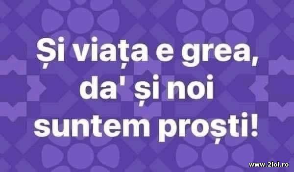 Si viata e grea, da si noi suntem prosti poze haioase