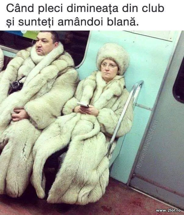 Cand pleci dimineata din club poze haioase