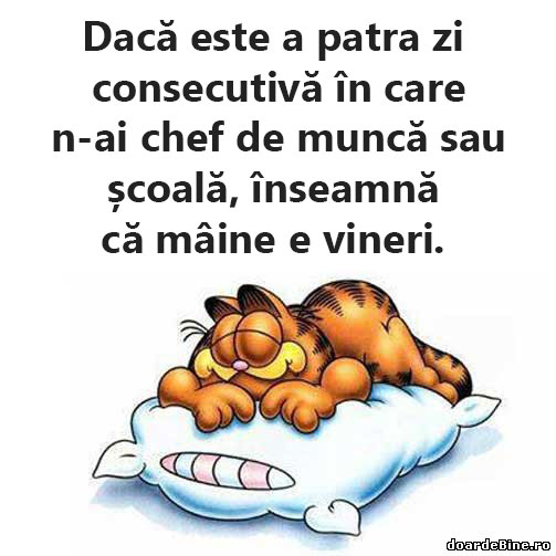 Cum îți dai seama că se apropie ziua de vineri poze haioase
