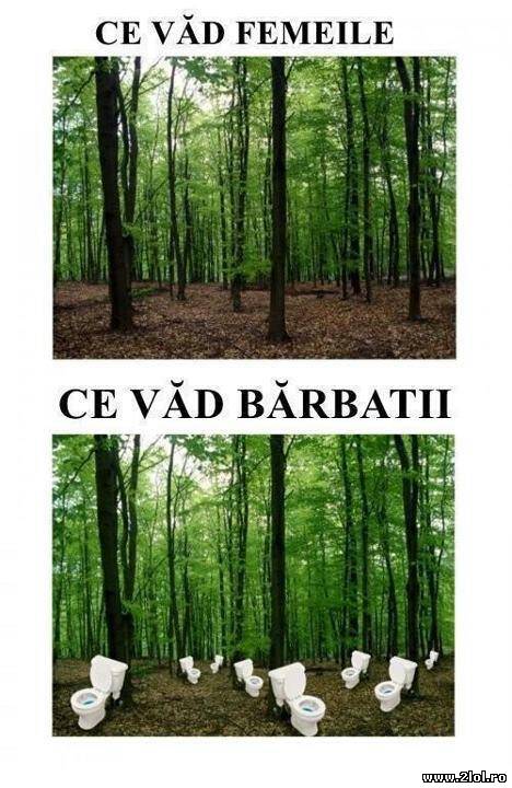 Ce văd femeile și ce văd bărbații poze haioase