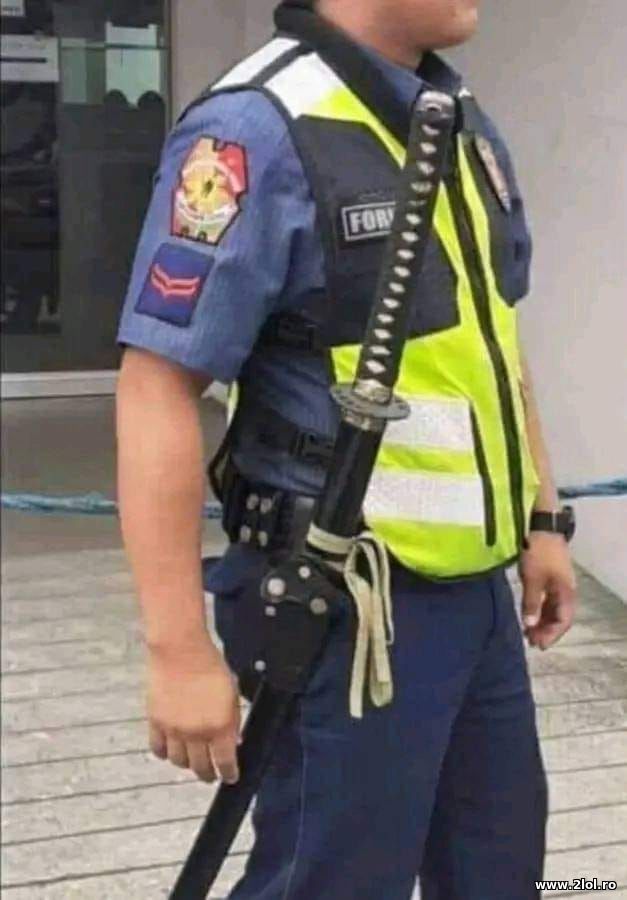 Cand esti paznic si stii cu sabia poze haioase