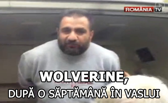 Wolverine, după o săptămână în Vaslui poze haioase