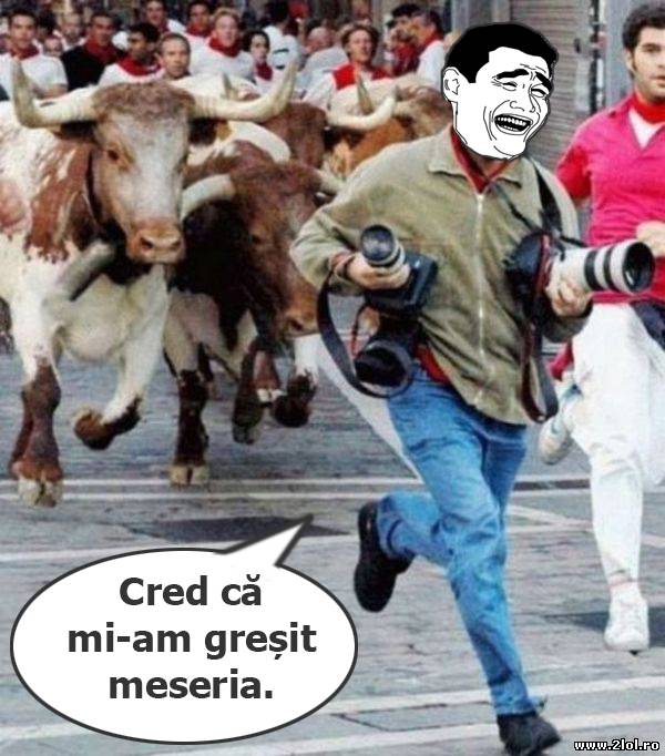 Când îți dai seama că ți-ai greșit  meseria poze haioase