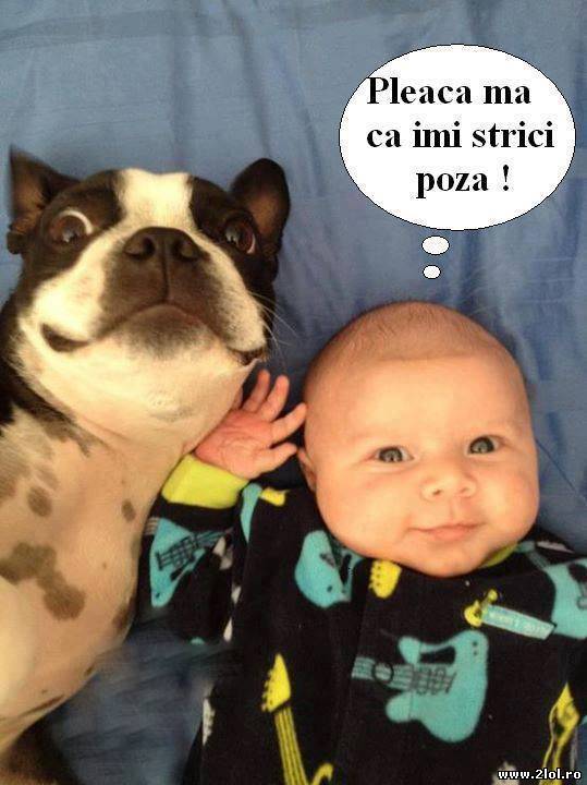 Pleacă mă că îmi strici poza poze haioase