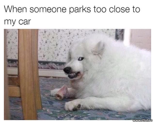 When someone parks too close to my car poze haioase