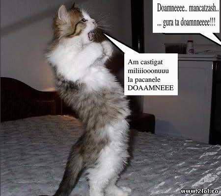 Momentul acela când câştigi la păcănele poze haioase