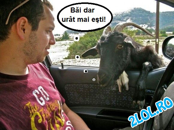 La asemenea compliment, ce să mai zici poze haioase