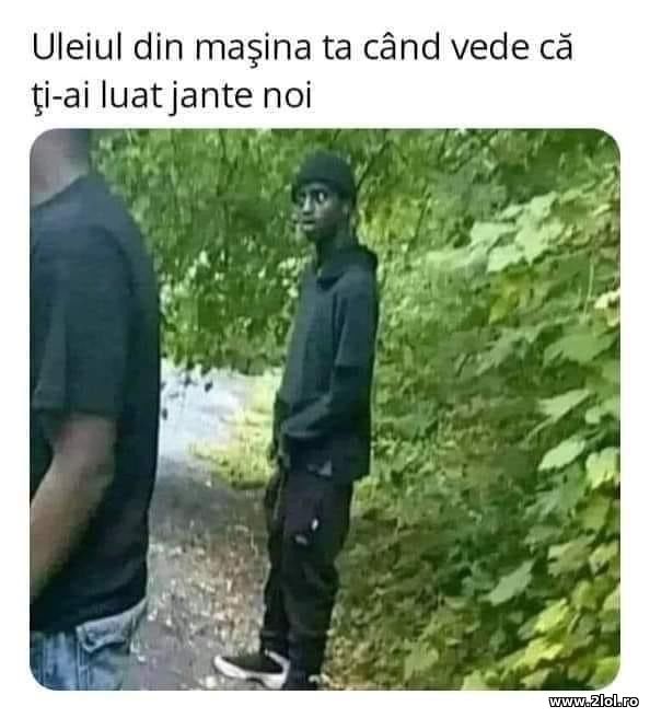 Uleiul din masina cand vede ca ti-au luat jante no poze haioase