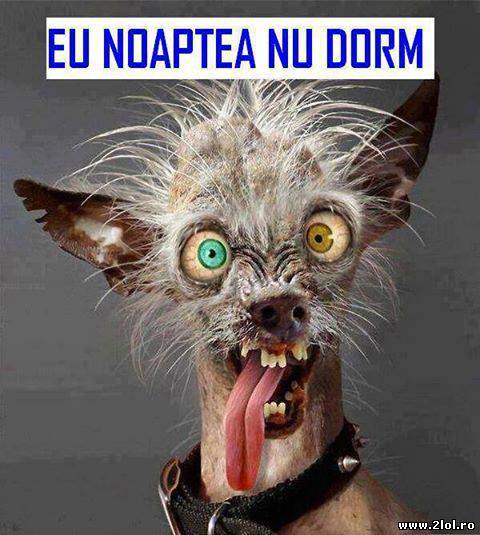 Când noaptea nu dormi poze haioase