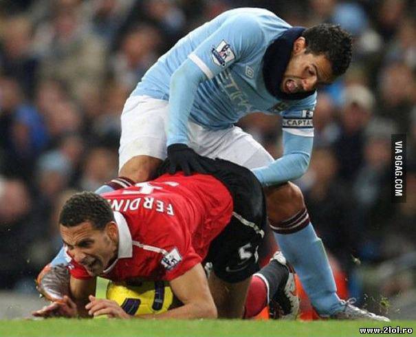 O voi găsii! poze haioase