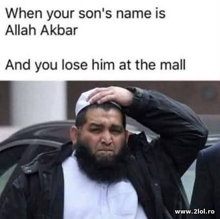 What a dilemma poze haioase