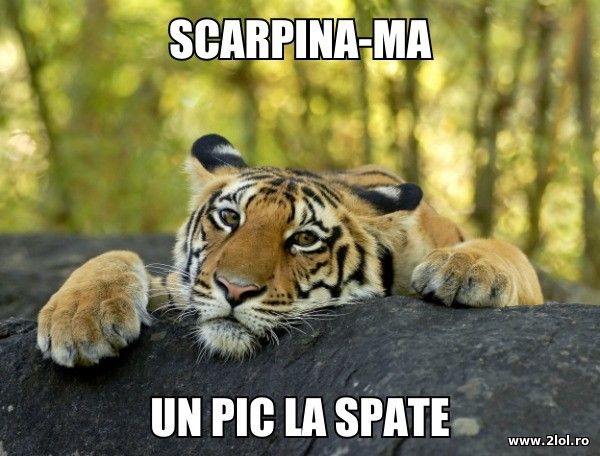 Scarpina-ma un pic la spate poze haioase
