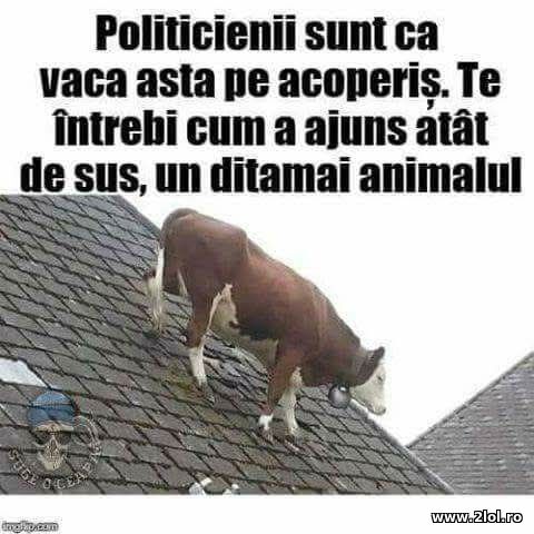 Politicienii poze haioase