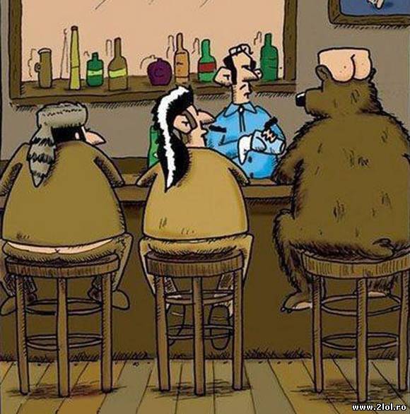 Dacă urșii ar merge la vânătoare poze haioase