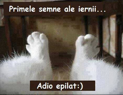 Iarna se uită de epilat poze haioase