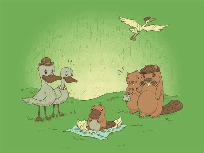 Probabil s-au ajutat reciproc poze haioase