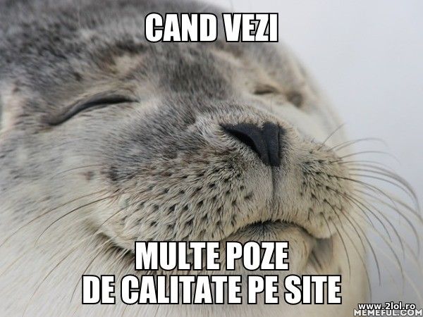 Cand vezi multe poze de calitate pe site poze haioase