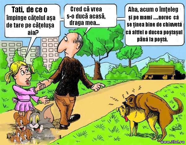 Ce bine o duc poștașii poze haioase