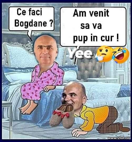 Ce faci Bogdane? poze haioase