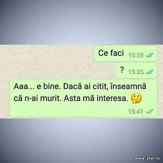 Cand iti da seen poze haioase